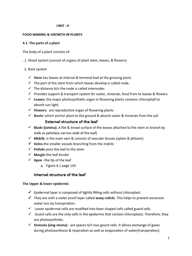 food-making-pdf-leaf-photosynthesis