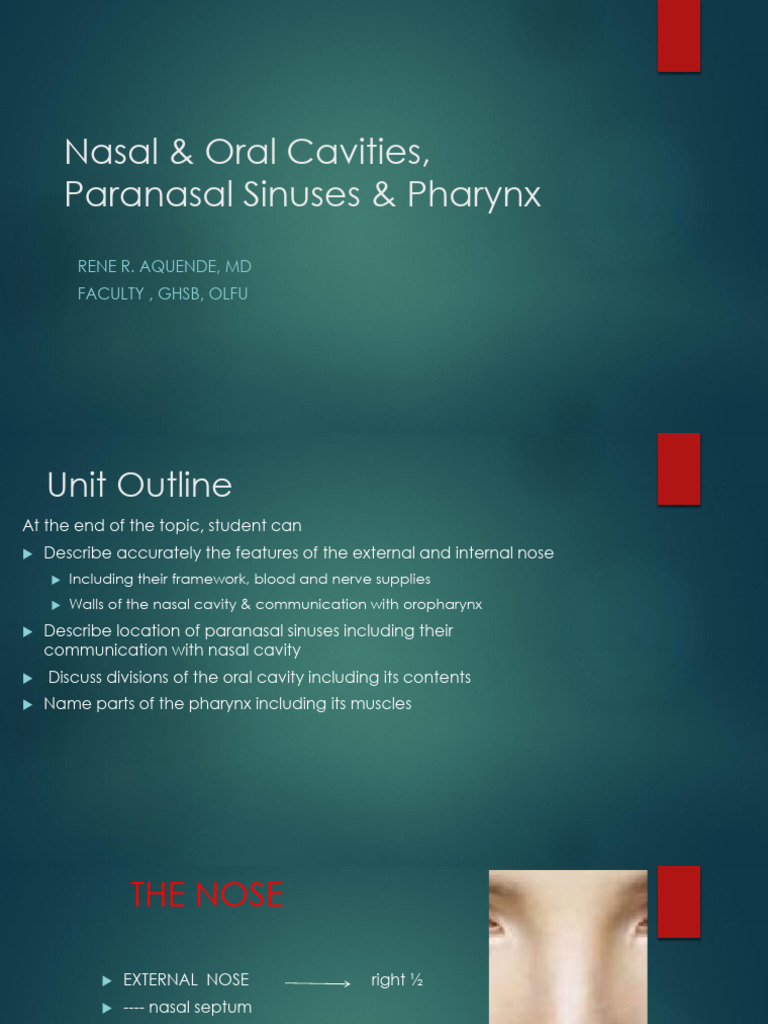 Nasal Oral Cavities Paranasal Sinuses Pharynx PART1 | PDF | Human Nose ...