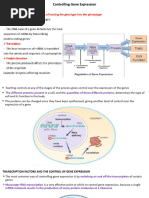 Specht's Classification and Biodiversity Analysis | PDF | Biodiversity ...