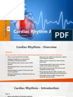 3. Cardiac Rhythm Analysis