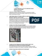 Tema 10 Patología de Cuello