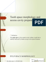 Tooth Space Morphology and Access Cavity Preparation