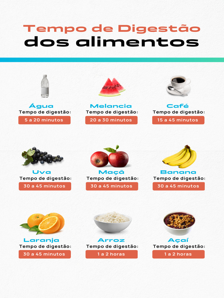 Tempo de Digestão dos Alimentos | PDF | Digestão | Trato gastrointestinal