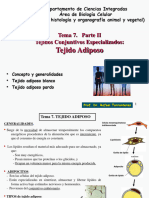 Presentación PDF-Tema 7-Tejido Conjuntivo-2 Parte-Tejido Adiposo-Versión Color Con Fondo Blanco