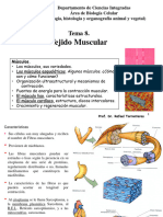 Presentación Tema 8 Tejido Muscular para Imprimir
