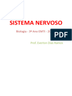 2bim. Sistema Nervoso