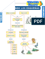 Tipos de Esquemas para Tercer Grado de Primaria