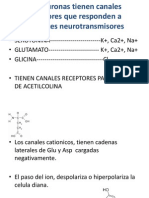 Las Neuronas Tienen Canales Receptores Que Responden A Diferentes Neurotransmisores