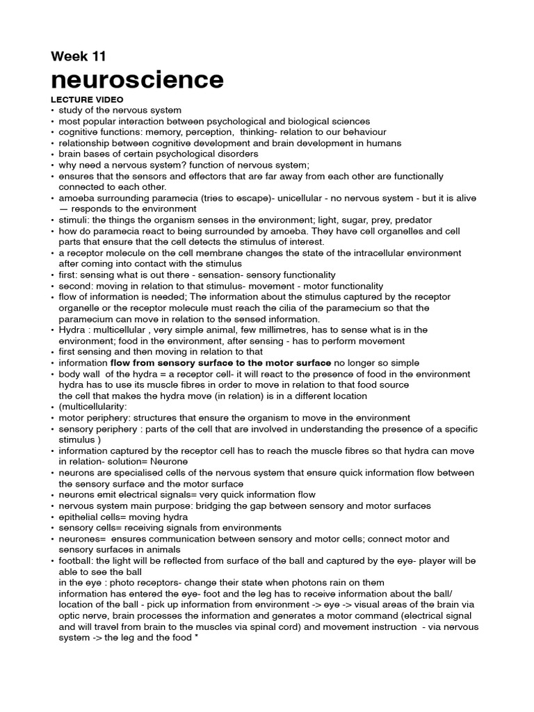 Neuroscience: Nervous System Overview | PDF | Chemical Synapse | Neuron