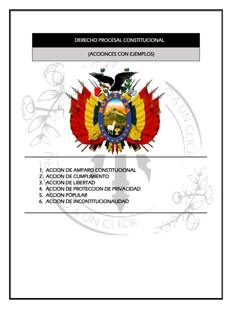 Tipos de Acciones Constitucionales en Bolivia | PDF | Privacidad