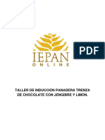 Guía Trenza de Chocolate, Jengibre y Limón Iepan Online Tdip