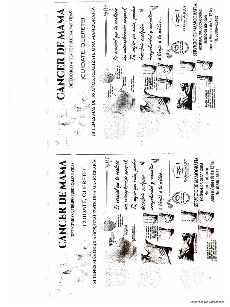 folleto-c-ncer-de-mama-pdf