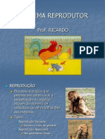 Biologia PPT Sistema Reprodutor