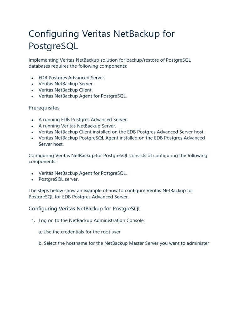 Veritas Backup Software Documentation