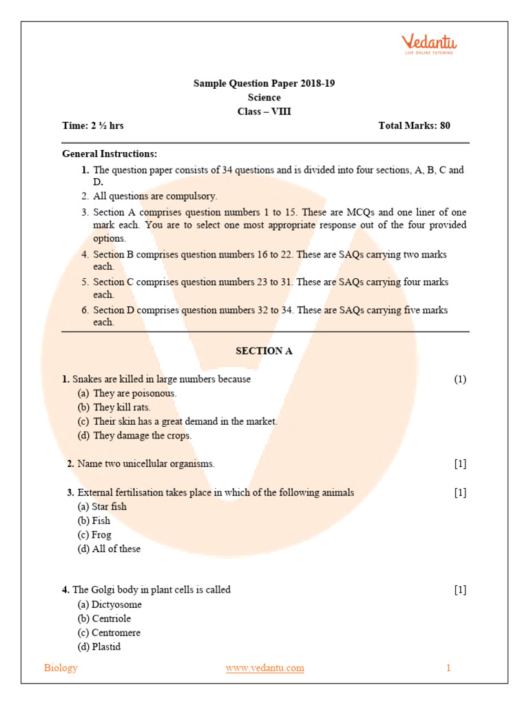 Class 12 Business Studies Past Papers | PDF | Combustion | Climate Change