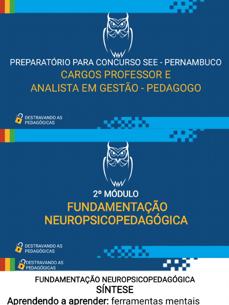 Aprendendo a aprender s ntese do livro b rbara oakley pdf