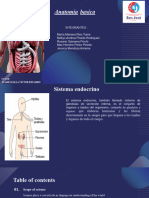 Anatomy & Physiology Lesson For College by Slidesgo (Autoguardado)