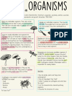 Living Organisms Worksheet