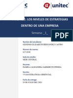 S1_Tarea 1.1_Los niveles de estrategias dentro de una empresa