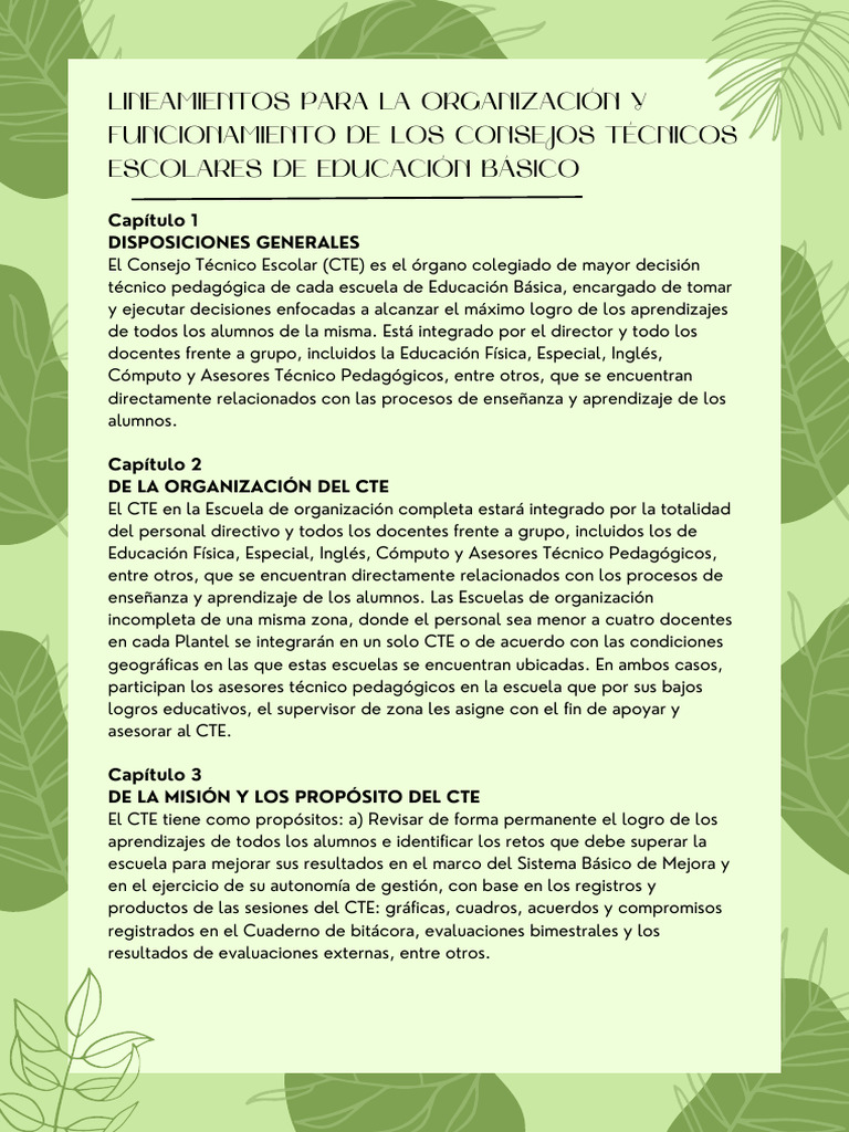 Act 4 Lineamientos Para La Organización Y Funcionamiento De Los