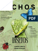 Bichos: Insetos