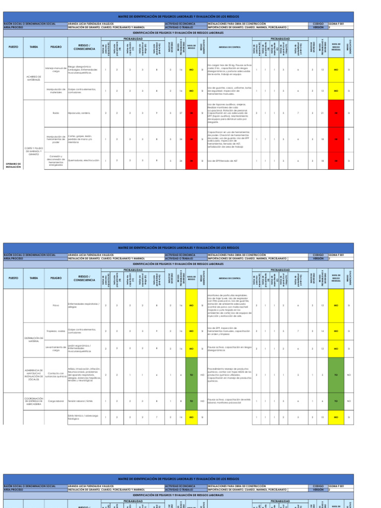 Matriz de Riesgos Laborales en Excel | PDF | Especialidades Medicas ...