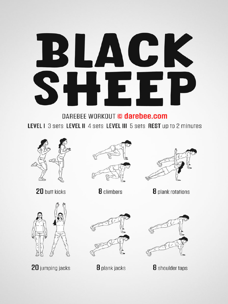 Black Sheep Workout PDF