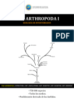 Filo Arthropoda I