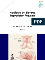 Aula Reprodutor Feminino 2019