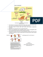 Daur Hidup Fasciola Hepatica