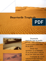 127045297-deserturi-tropicale