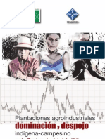 Plantaciones y Despojo Guatemala sXXI