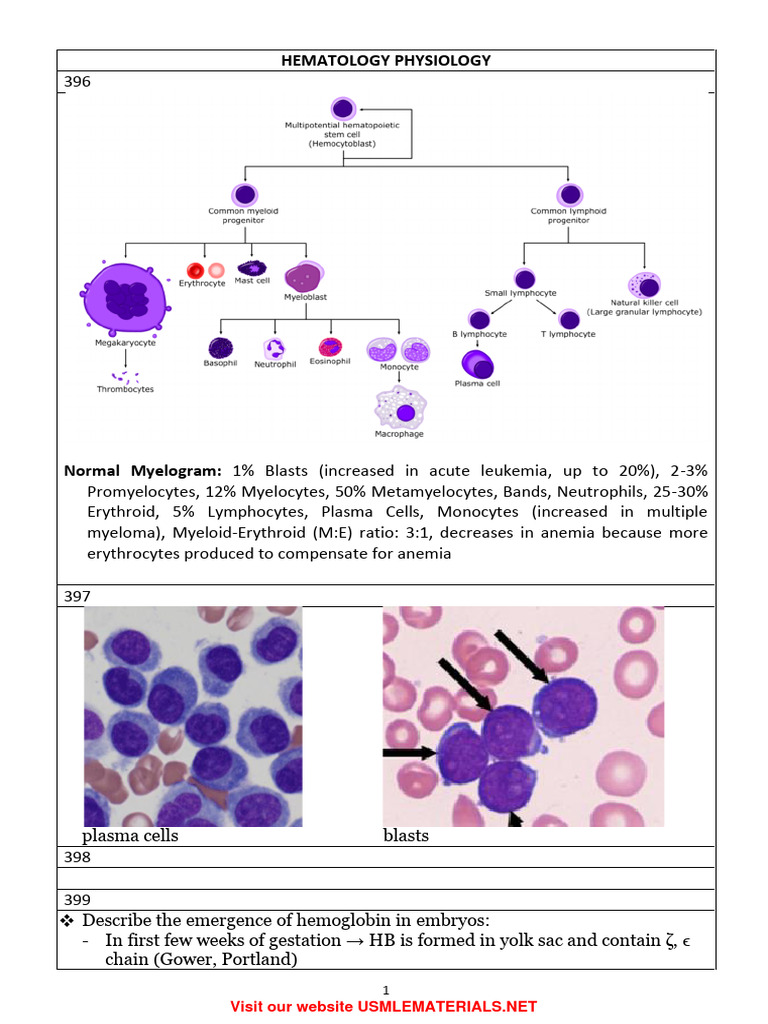 Hematology Physiology Overview | PDF | Anemia | Hematology