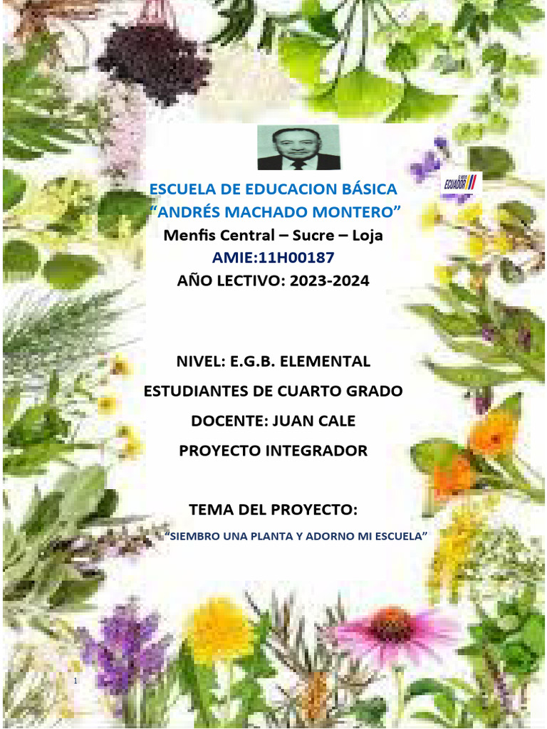 Proyecto de Plantas Ornamentales Escolar | PDF | Plantas