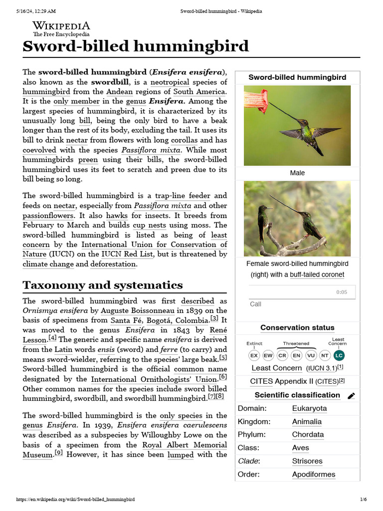 Sword-billed Hummingbird Overview | PDF | Science & Mathematics