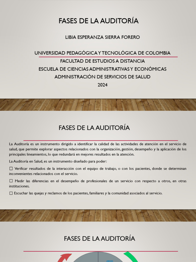 Fases de La Auditoría | PDF | Auditoría | Planificación