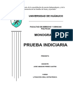 Monografía Litigación