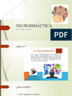 NEURODIDÁCTICA