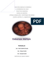 Informe de Embarazo Multiples