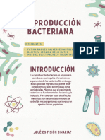 Presentación Proyecto Científico Doodle Ilustrado Verde y Rosa