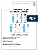 La Enfermeria y Las Areas de Autoempleo Pt Fase III Estructura 504_074617