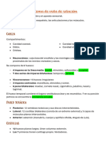 Anatomia Resumen CTO