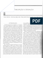 PERCEPÇÃO E ATENÇÃO - Verdu-Rico Et Al.2012