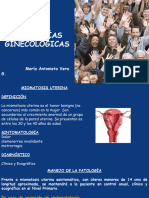 C8. Plantilla PatologÃ As Ginecolã Gicas - Enf. de La Mujer 2