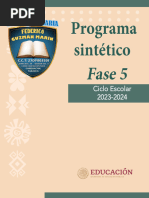 Programa Sintético Fase 2 | PDF | Educación de la primera infancia ...