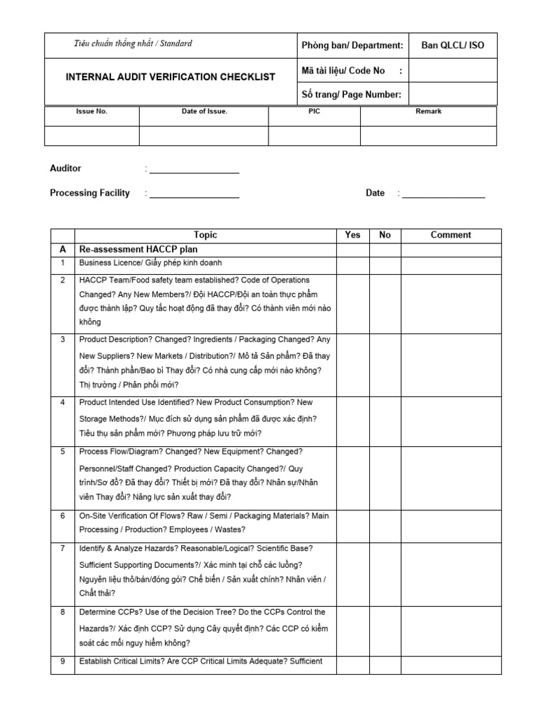 Intenal Audit | PDF