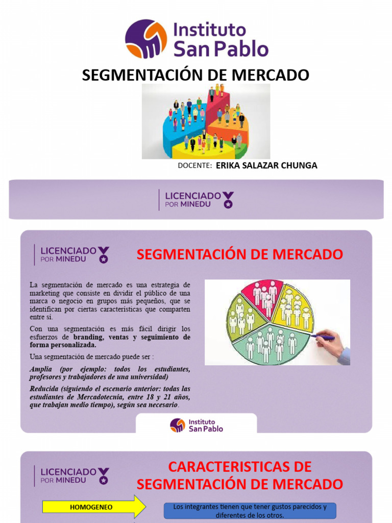 Segmentacion de Mercado | PDF | Marketing | Comportamiento