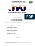 A Proyecto de Investigación Formativa