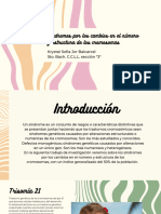 Síndromes Por Los Cambios en El Número y Estructura de Los Cromosomas