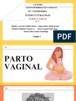 Parto Vaginal - 20231127 - 212106 - 0000
